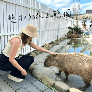 台北墾丁自由行——水豚聖地【鹿儿島】