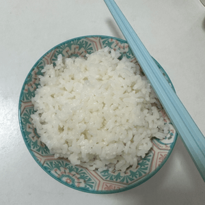 一碗白飯🍚一碟靚菜🥬