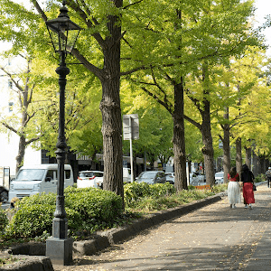 初探東京橫濱