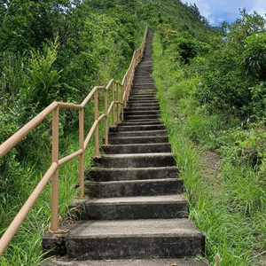 九龍坑山