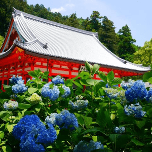 大阪箕面的勝尾寺