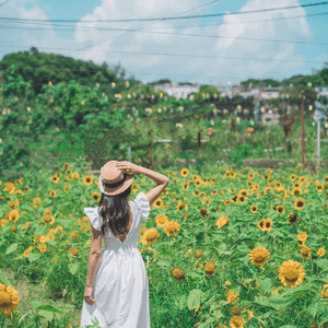 🌻☀️陽光燦爛，信芯園打卡！