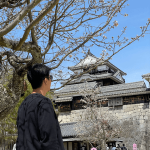 愛媛縣景點🏯松山城賞櫻🌸