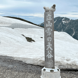 立山黑部🏔️  終於睇到啦！🤩