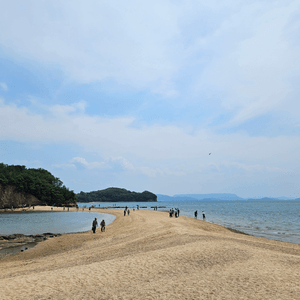 日本小豆島天使之路