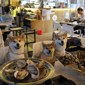 自己夾生猛海鮮 蒸海鮮超好食🦀🦞🦐