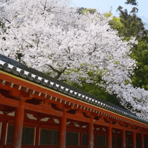 京都・石清水八幡宮