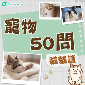 【寵物50問】貓貓篇