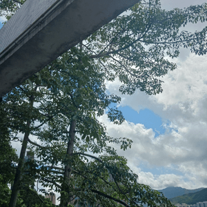 藍天白雲既天氣，不錯喔~~