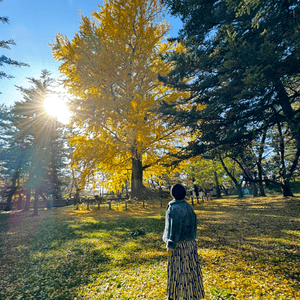 🗺️《開始plan吓》🎌日本🗾青森🏯弘前城🍁秋天旅行