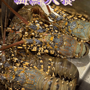 ［越南海鮮餐］龍蝦🦞自由🥰