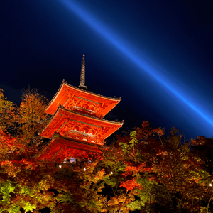 🗺️《開始plan吓》京都清水寺 🍁夜間特別參拜🏮