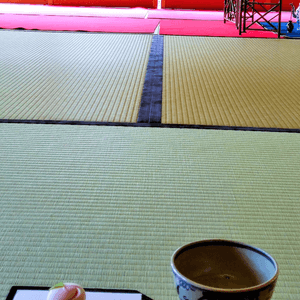 掛川小庭園，靜心之旅🍵😌