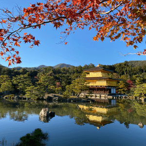 🗺️《開始plan吓》🎌京都🍁秋天必到⛩️金閣寺