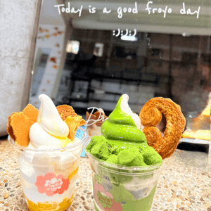Drool Froyo • Golden Gem世一🍨✨