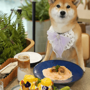 甜品勁靚勁好食
