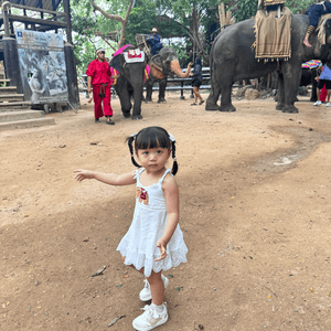 11月真係旅行嘅季節，
特別係去泰國...