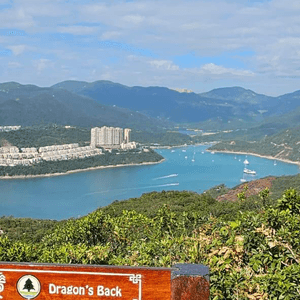 龍脊打卡！新手都啱嘅行山路線 ⛰️📸