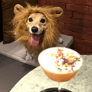 《西餐推介🍽️》