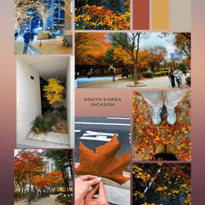 韓國賞楓🍁遊記！紅葉靚到爆！😍