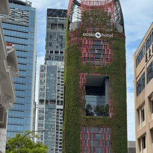 新加坡快閃遊Day 2！牛車水+濱海灣花園🤩