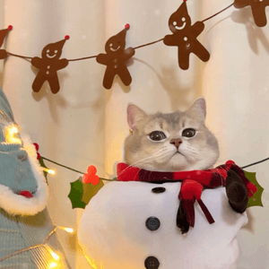🎄 Meowy Christmas 🎄 