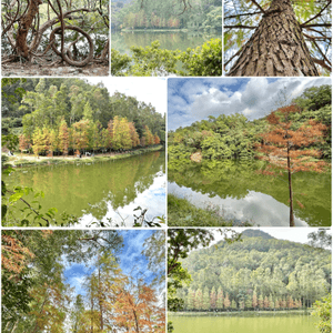 流水響📸又到了打卡時候❣️