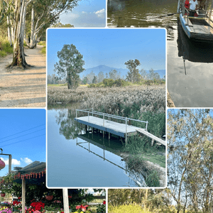 親子郊遊｜南生圍｜橫水渡🛶 蘆葦草叢🌾 赤桉樹步道🌳 大草地🌱 婚紗橋📸 炭燒豆腐花😋