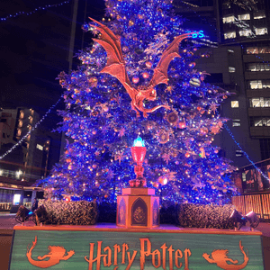 哈利波特聖誕樹🎄✨