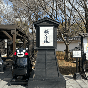 熊本城、櫻之馬場城彩苑🏯