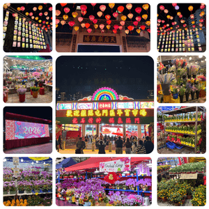 年廿九著短袖去行年宵花市🌸