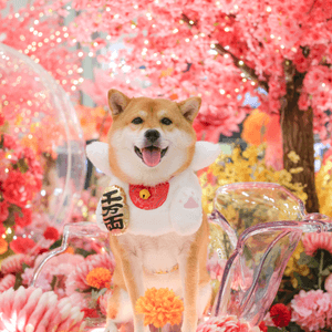 好細心嘅商場比毛孩打卡