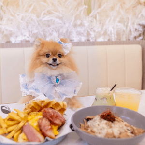 油尖旺美食天堂！☕🥐必試牛角包窩夫！✨🅿️