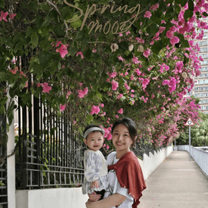 🌺簕杜鵑 又係賞花既春天