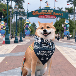 dogathon2026全城狗狗行善日 