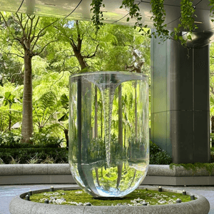 中環新地標🤩呢朵洋紫荊真係驚豔咗我！🌺