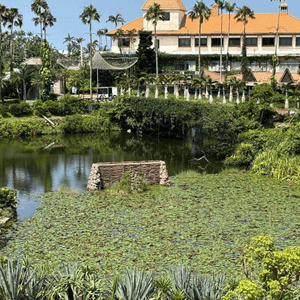 沖繩陽光海灘以外嘅好去處-東南植物樂園