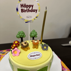 哈根達斯雪糕蛋糕～森林派對