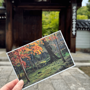 京都西芳寺免費明信片get✅