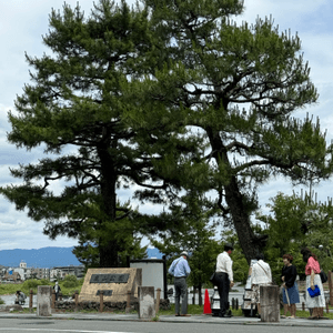 嵐山吸綠🌿🌊渡月橋打卡📸