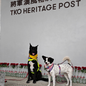 享受悠閒時光🥰