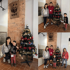 media 3