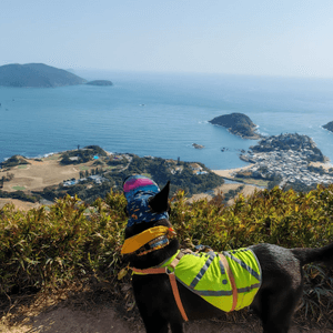 ⛰️靚景歎足3小時！