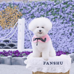 花海治癒心情！🌸🌊 春日期間限定！