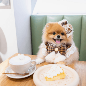 media 3