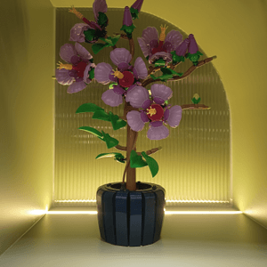 media 4