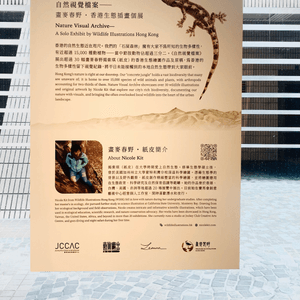 media 7