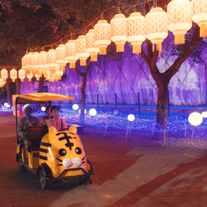 深圳觀瀾湖公園･夜間燈飾|光影森...