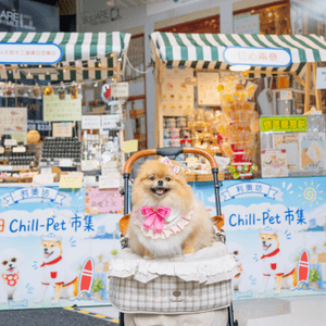週末好去處！浪浪領養+市集！🐶🥳