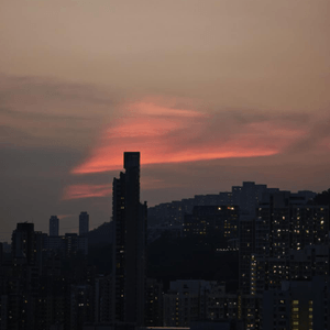 media 7